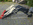 Stoll FL Schwinge ALS-3