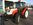 Steyr Kompakt 370
